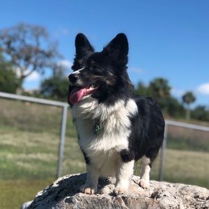 Meet your Posher, Canyon